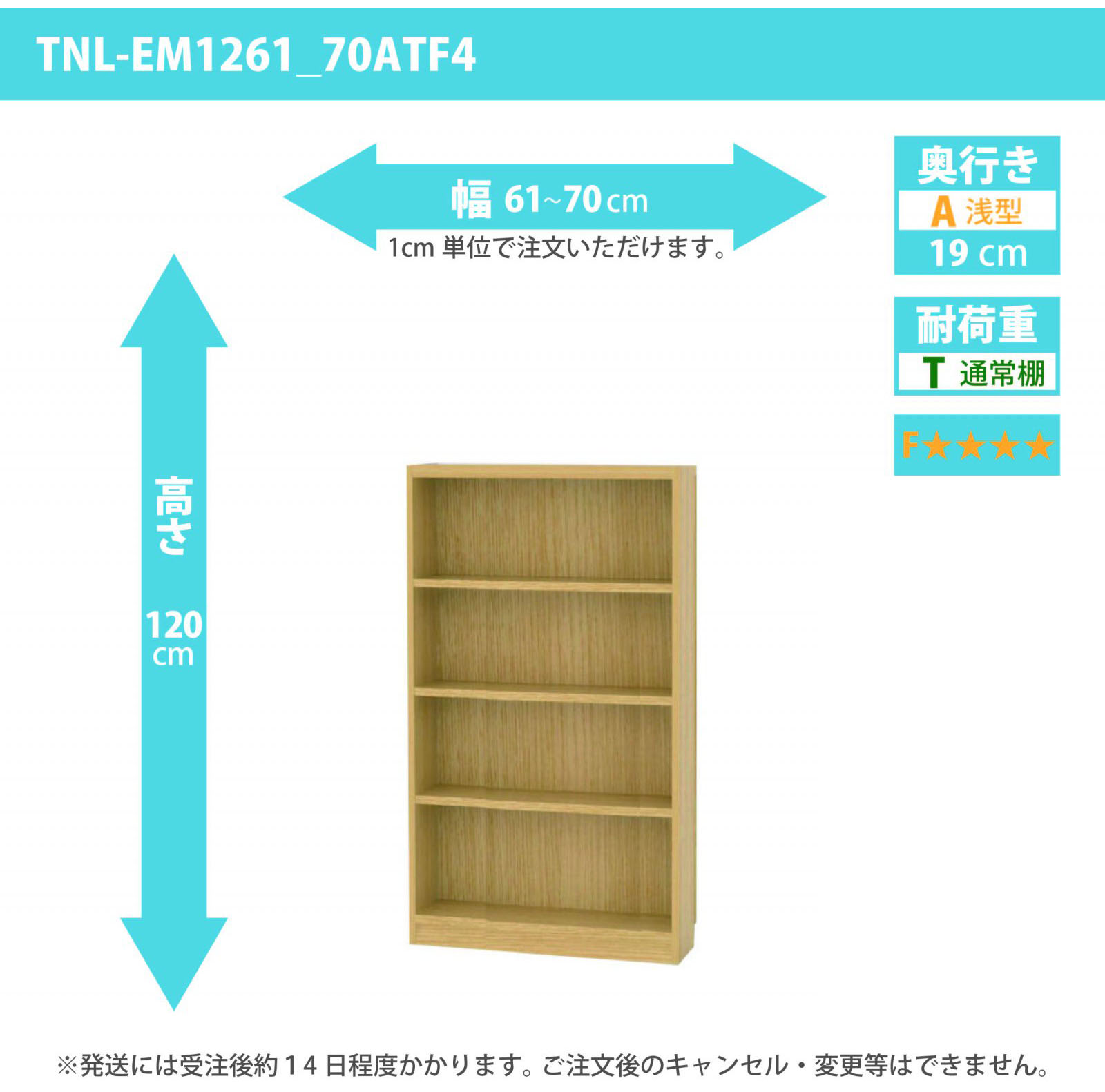 タナリオ　低ホルムアルデヒドタイプ　幅61cmから70cm　高さ120cm　奥行き19cm　棚耐荷重10kg　F４　[TNL-EM1261_70ATF4]