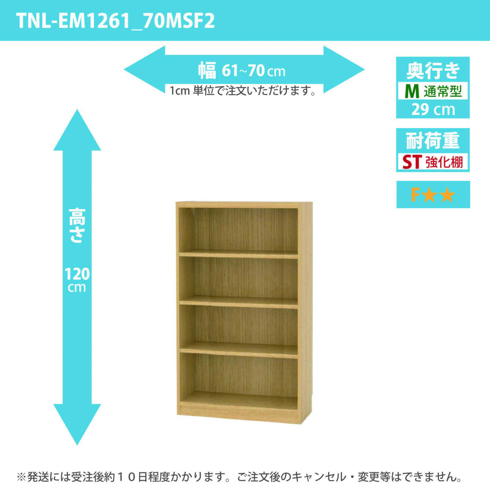 タナリオ　強化棚板　幅61cmから70cm　高さ120cm　奥行き29cm　棚耐荷重20kg　F２　[TNL-EM1261_70MSF2]